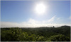 15 Tikal above the jungle canopy.JPG [190907 octets]